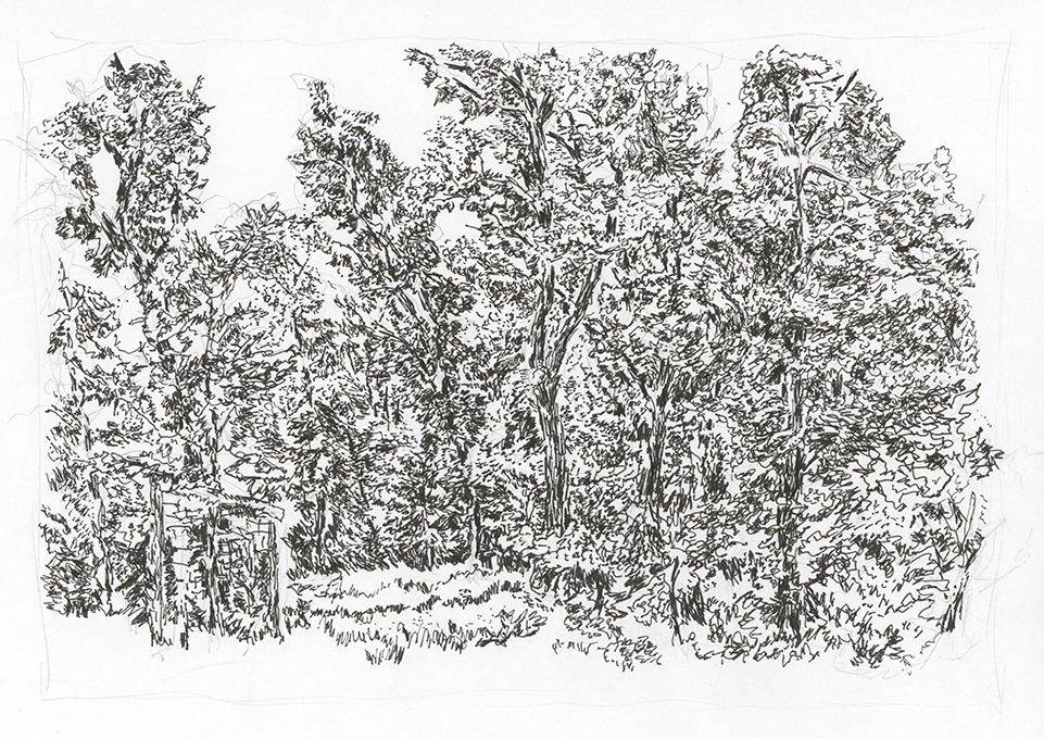 Zeichnung Wald Tegna